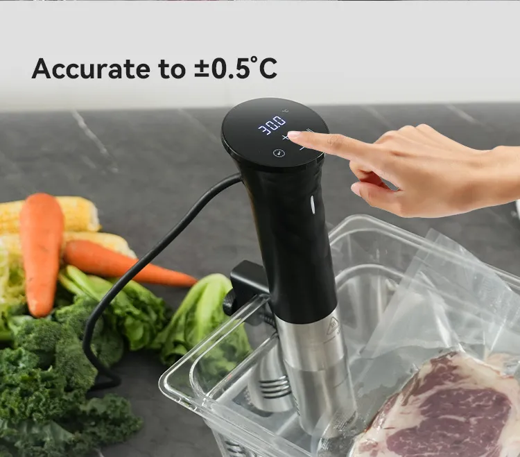 Sv84s Sous Vide Cooker with Big Power