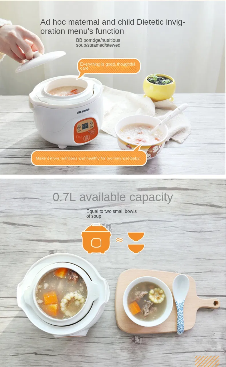 0.7L Mini Slow Cooker with Ceramic Pot & Steam Rack Double Boiler