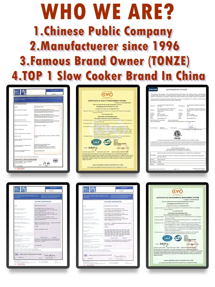 Mini Portable Health Electric Slow Cooker Digital Bird Nest Cooker