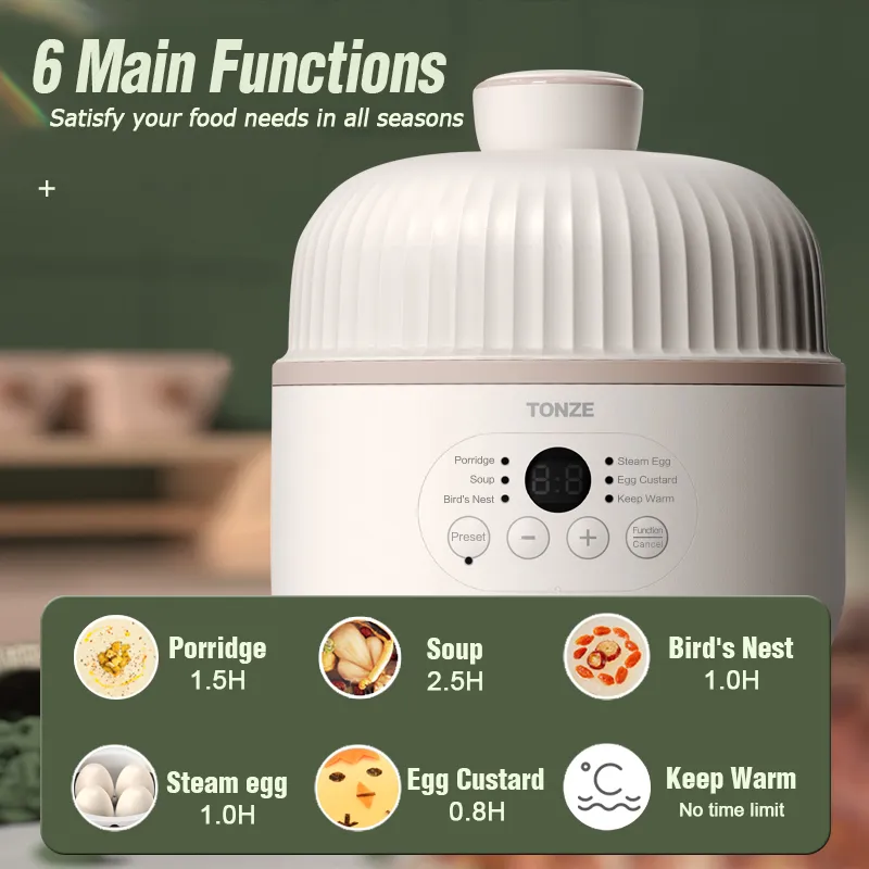 Egg Steamer Portable Mini Slow Cooker for Stew Soup and Porridge Slow Cooker