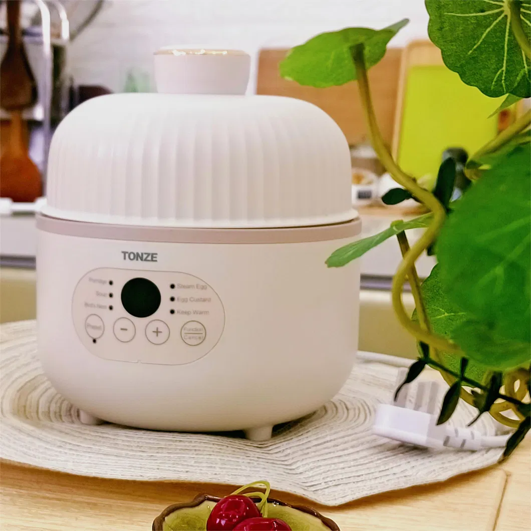 Tonze Multi-Functional Digital Panel Slow Cooker with Ceramic Inner Pot 0.8L Slow Cooker