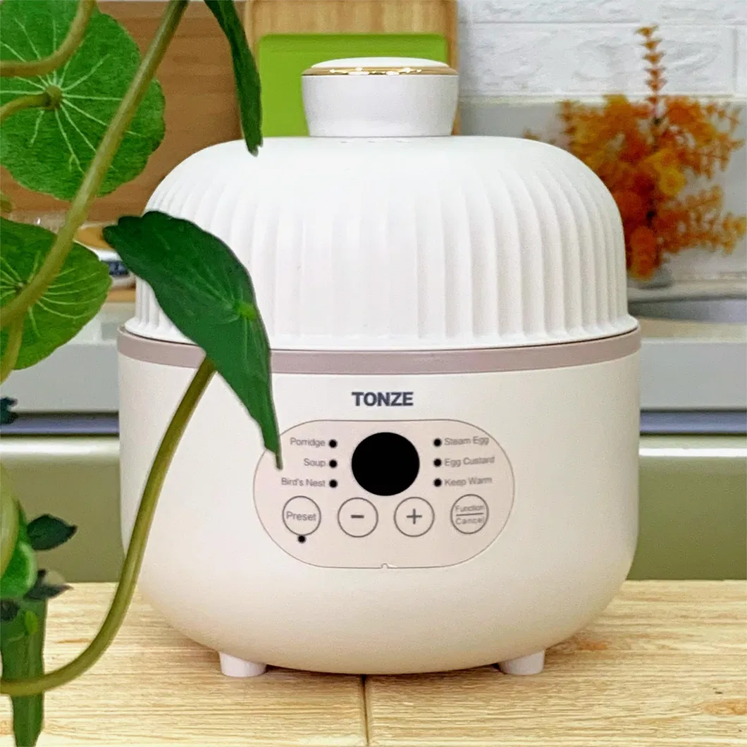 Tonze 0.8L Digital Slow Cooker with Ceramic Pot, Customizable for OEM Slow Cooker