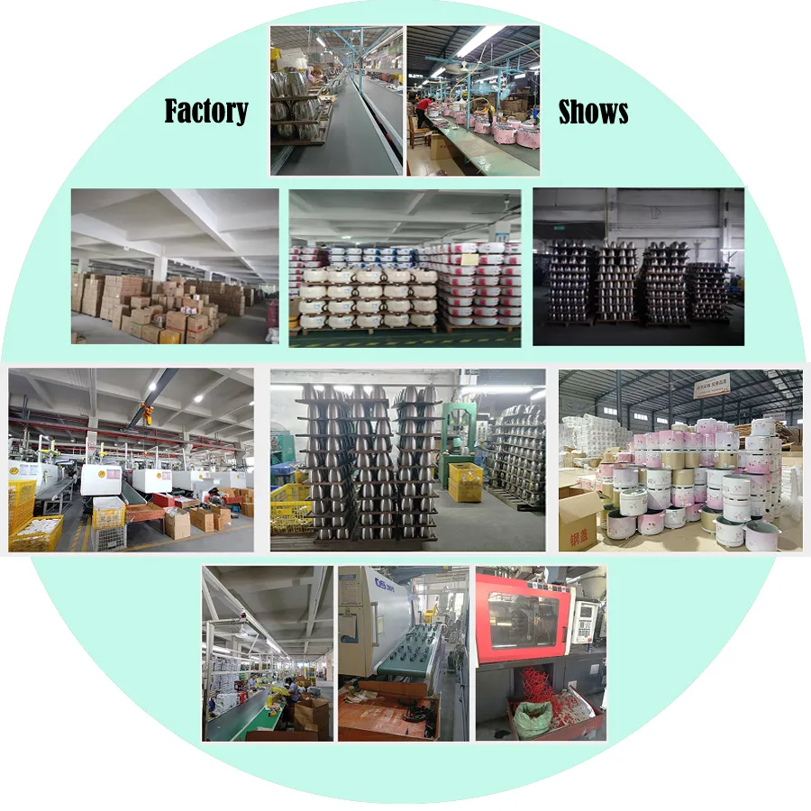 Dm-D012 Mini Stainless Steel Simple Rice Cooker with Automatic Insulation and Quick Cooking Can Be Customized for 1-2 People