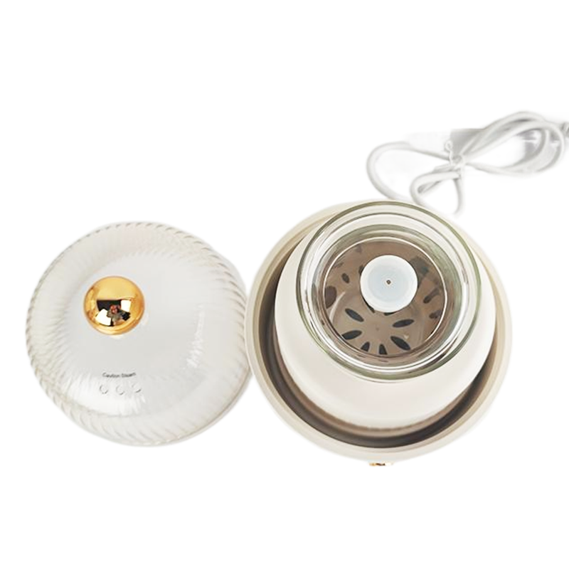 Multifunctional Mini Electric Egg Steamer &amp; Soup Maker