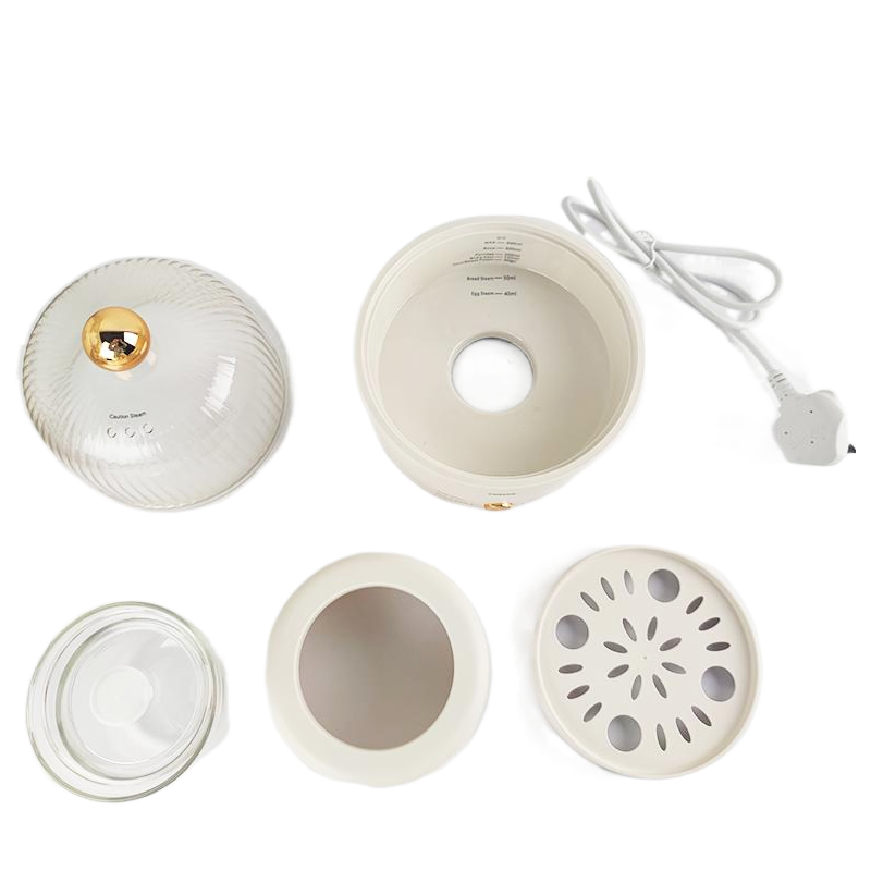 Multifunctional Mini Electric Egg Steamer &amp; Soup Maker