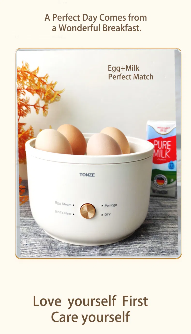 Multifunctional Mini Electric Egg Steamer &amp; Soup Maker