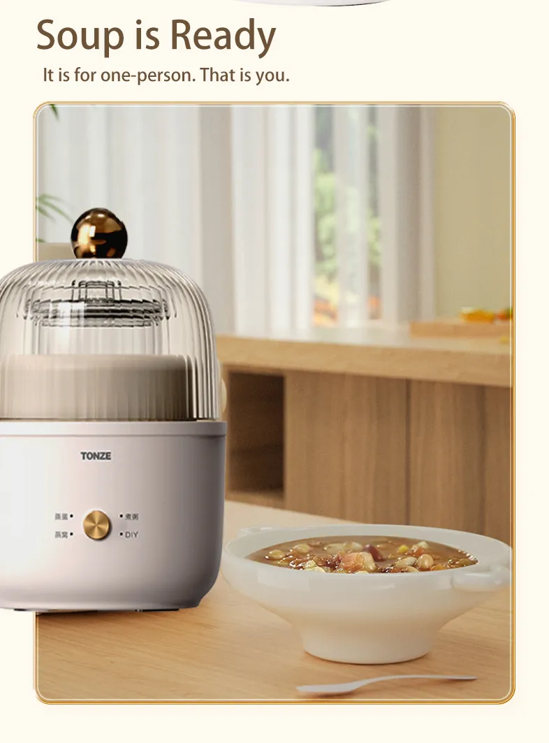 Multifunctional Mini Electric Egg Steamer &amp; Soup Maker
