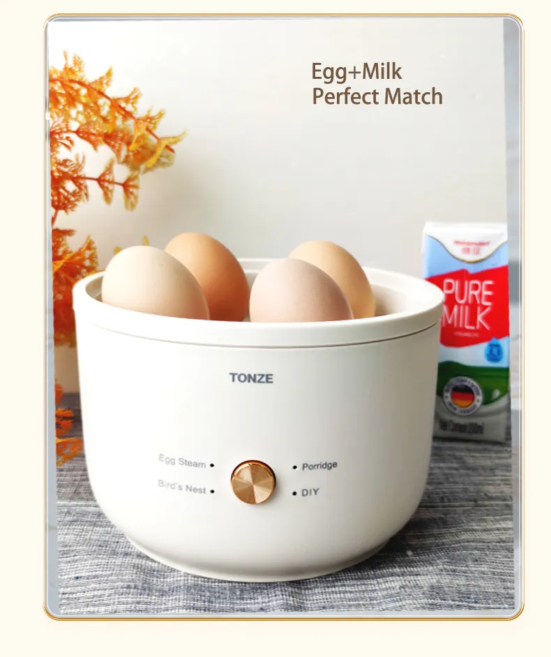 Multifunctional Mini Electric Egg Steamer &amp; Soup Maker