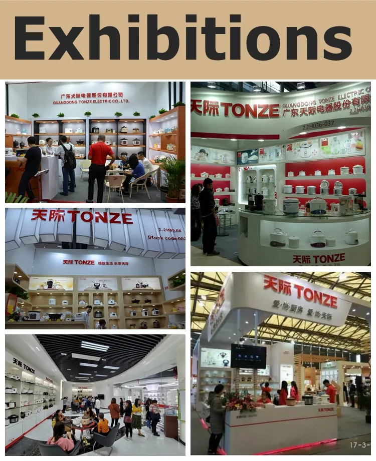 Tonze Factory OEM Electric Ceramic Soup Cooker 2L Stew Slow Cooker