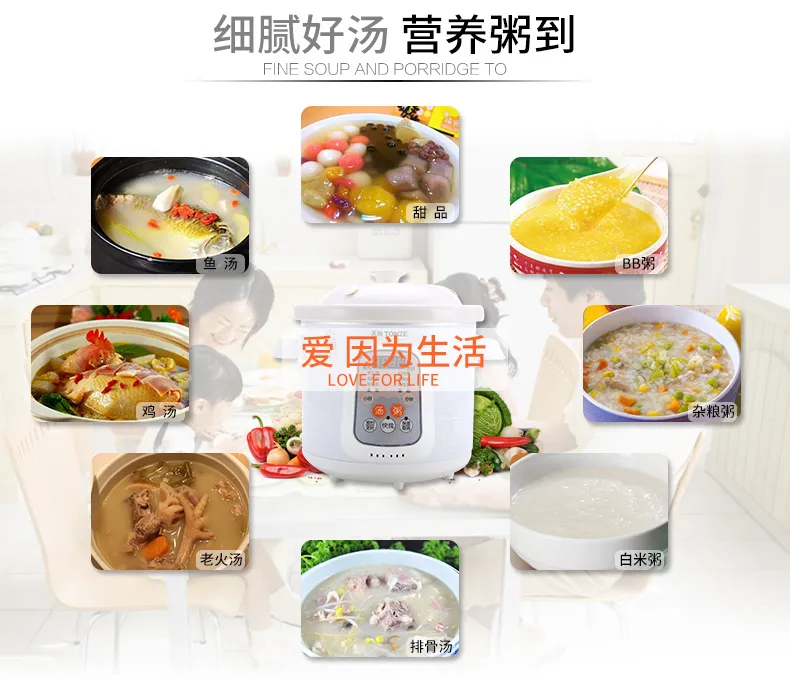 Tonze Factory OEM Electric Ceramic Soup Cooker 2L Stew Slow Cooker