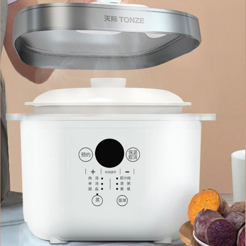 Family 2.5L Micro Computer Control Water Double Boiler Slow Cooker