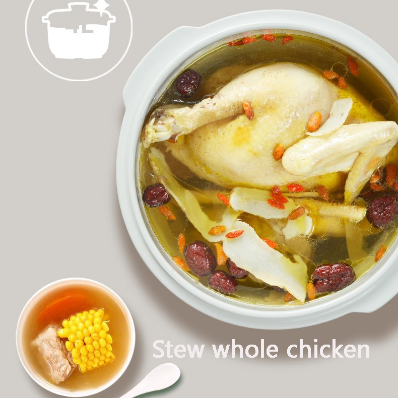 Family 2.5L Micro Computer Control Water Double Boiler Slow Cooker