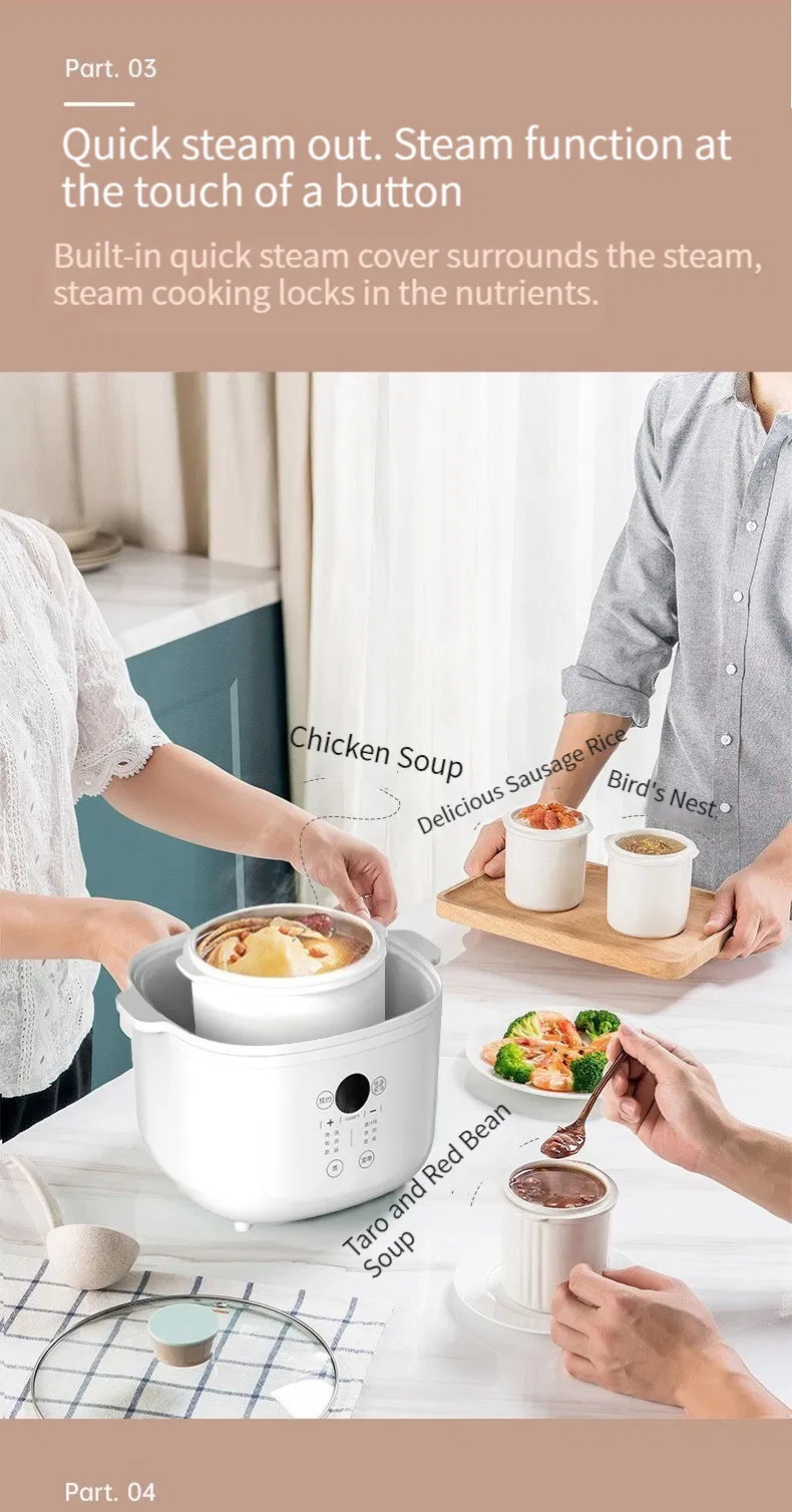 Family 2.5L Micro Computer Control Water Double Boiler Slow Cooker