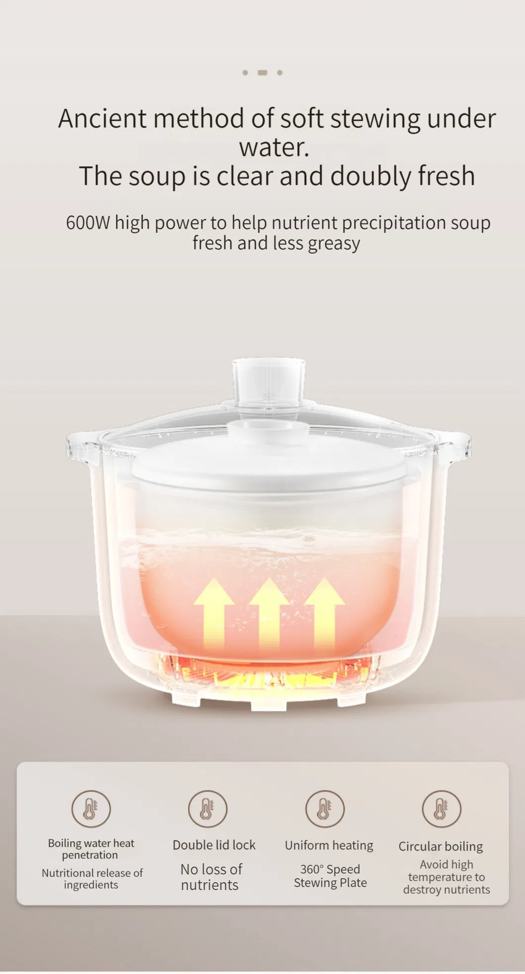 Visual Glass Lid 4L Multi Bone Soup Cooker Slow Cooker with Steamer Basket