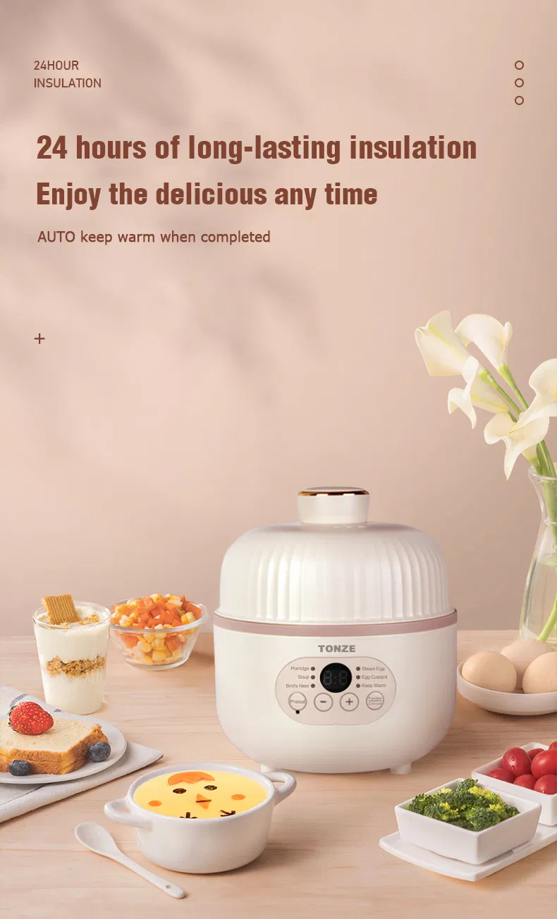 Water Stewing Slow Cooker with Egg Steamer Ceramic Liner Electric Pot