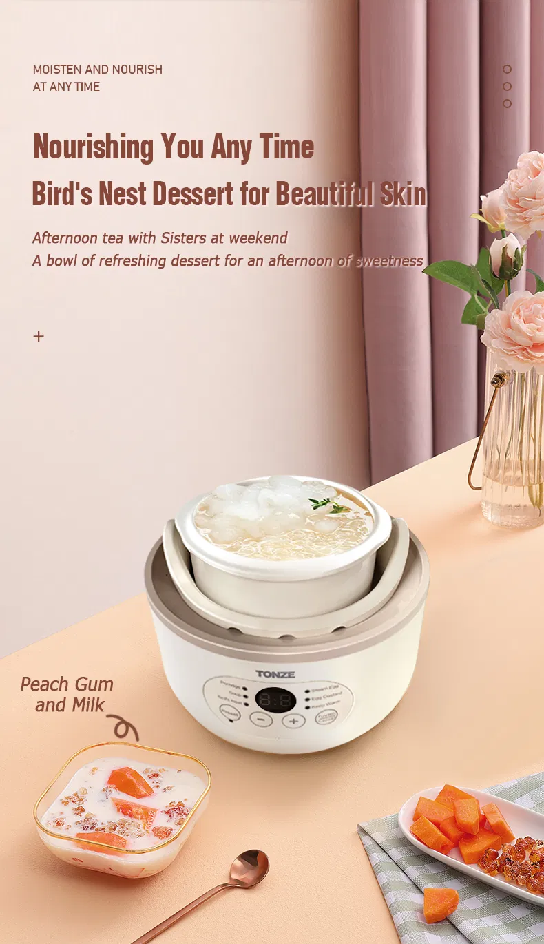 Water Stewing Slow Cooker with Egg Steamer Ceramic Liner Electric Pot