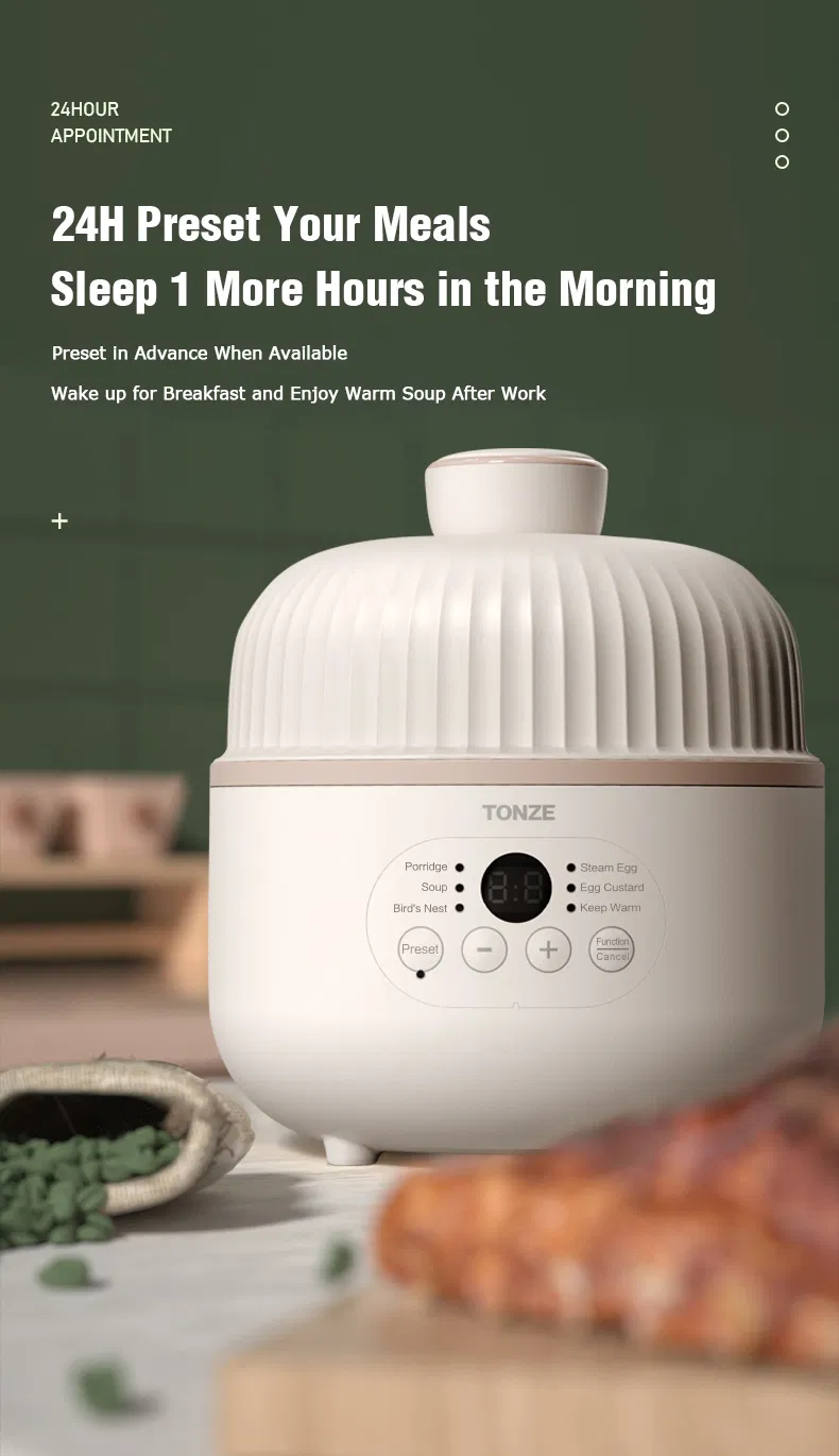 Water Stewing Slow Cooker with Egg Steamer Ceramic Liner Electric Pot