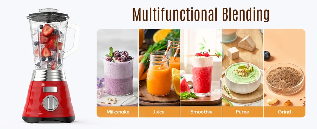 800W Multi Functional Commercial Food Blender