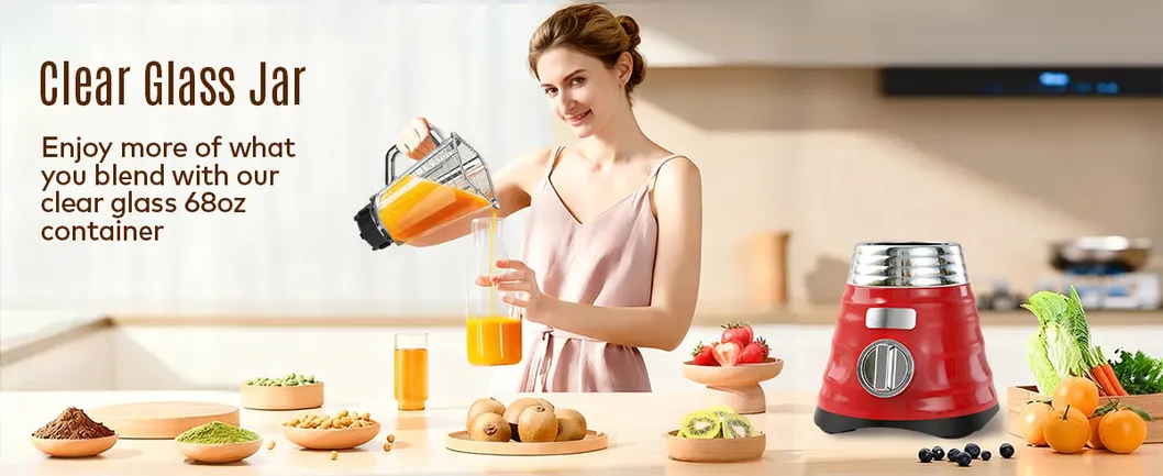 800W Multi Functional Commercial Food Blender