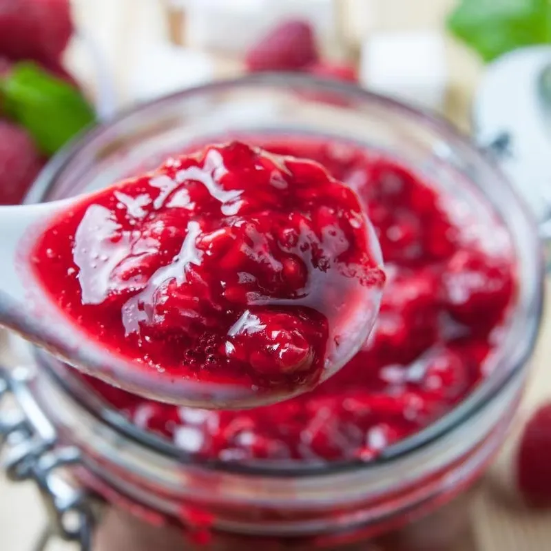 Stainless Steel Jam Making Pot Home Electric Portable Hot Sauce Maker