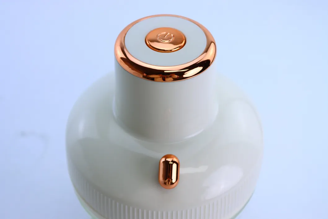 Modern 1000W 220V-240V Electric Meat Grinder 2.5L Household Stainless Steel Grinder