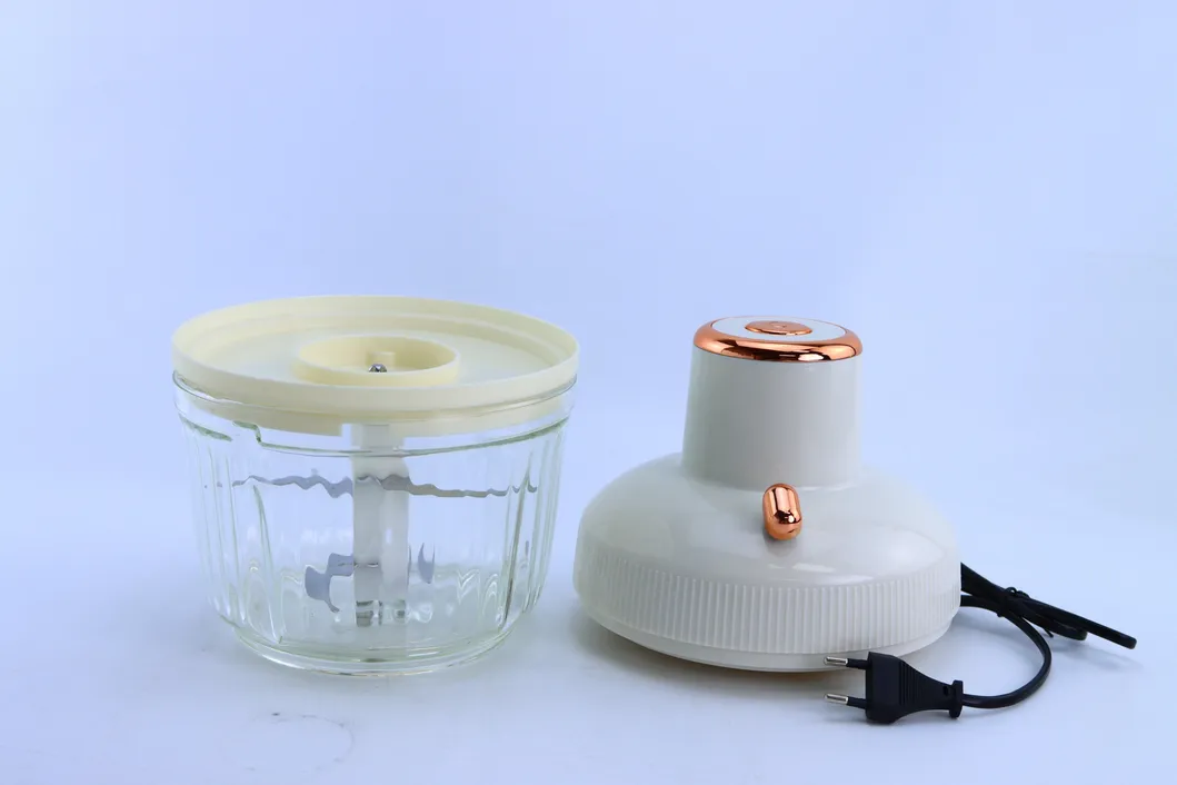 Modern 1000W 220V-240V Electric Meat Grinder 2.5L Household Stainless Steel Grinder