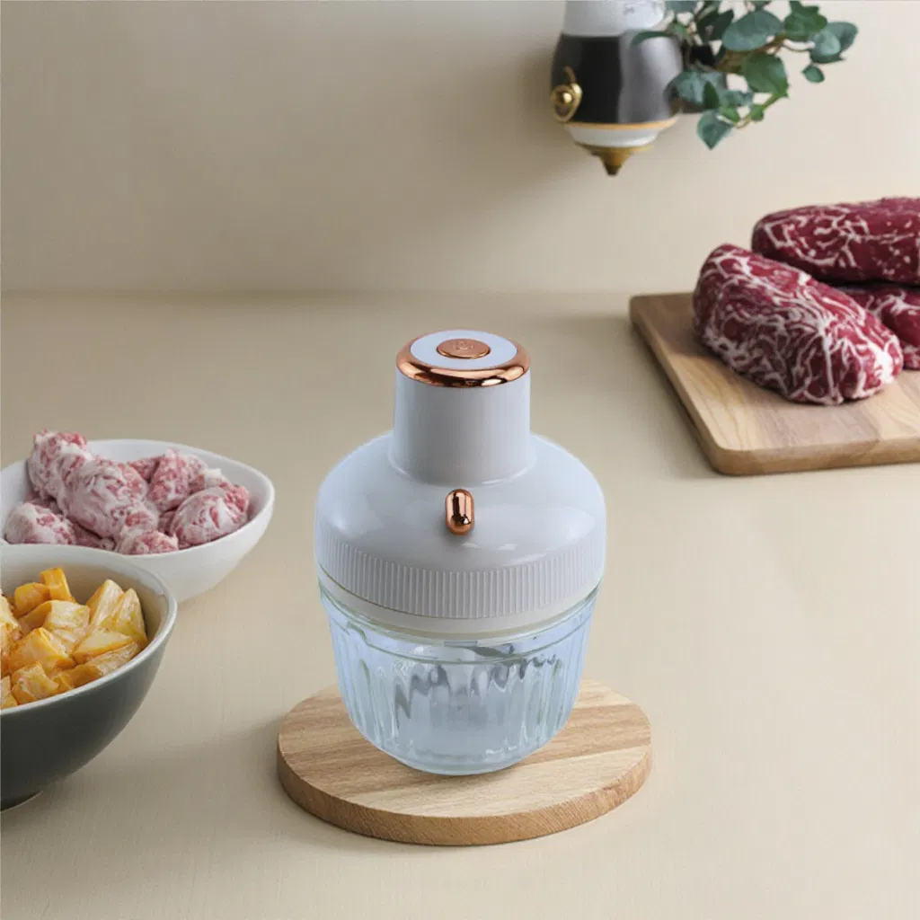 Modern 1000W 220V-240V Electric Meat Grinder 2.5L Household Stainless Steel Grinder