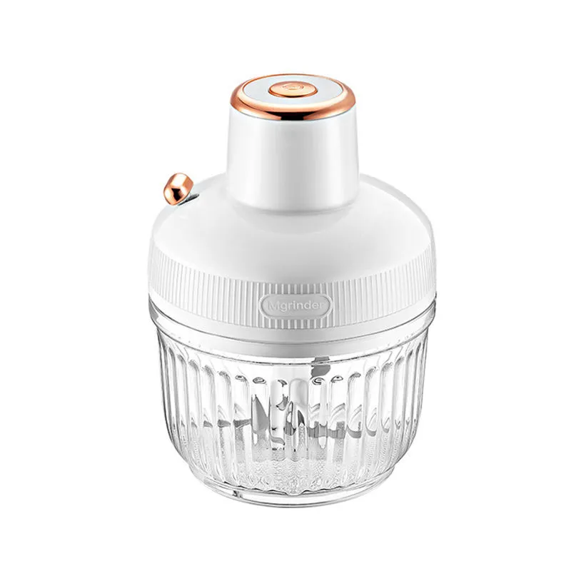 Modern 1000W 220V-240V Electric Meat Grinder 2.5L Household Stainless Steel Grinder