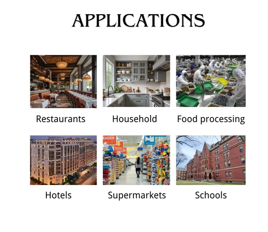 Multifunctional Fruit Vegetable Processor 750W Powerful Food Chopper Food Blender