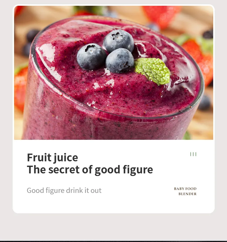 Ranbem Professional Home Appliances High Speed Kitchen Smoothie Milkshake Blenders and Juicers with Timer