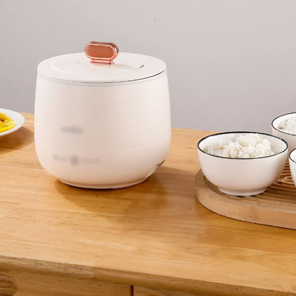High-Demand Domestic Compact Rapid-Cooking Smart-Adjusting Multi-Tasking Anti-Scald Electric Rice Cooker