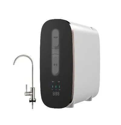 2 Stages Home RO Filtration with Fitraction Capacity 500 or 600g Per Day (HBRO-500G-205A)