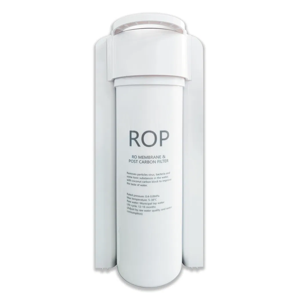 Portable Composite 600g RO Filter Mini Direct Drinking Water Dispenser Purifier RO Filtration for Home