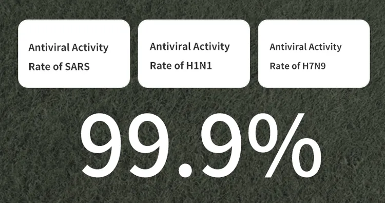 HEPA Air Purifier RoHS Proved 520 Cadr 70 Square Meters Timer Function Filter Air Purifiers Sterilizer