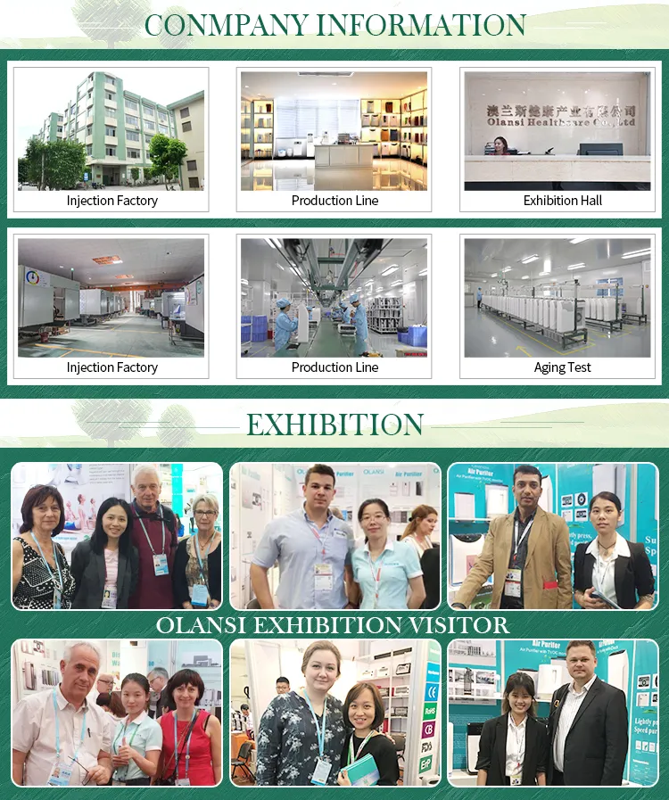 HEPA Air Purifier RoHS Proved 520 Cadr 70 Square Meters Timer Function Filter Air Purifiers Sterilizer