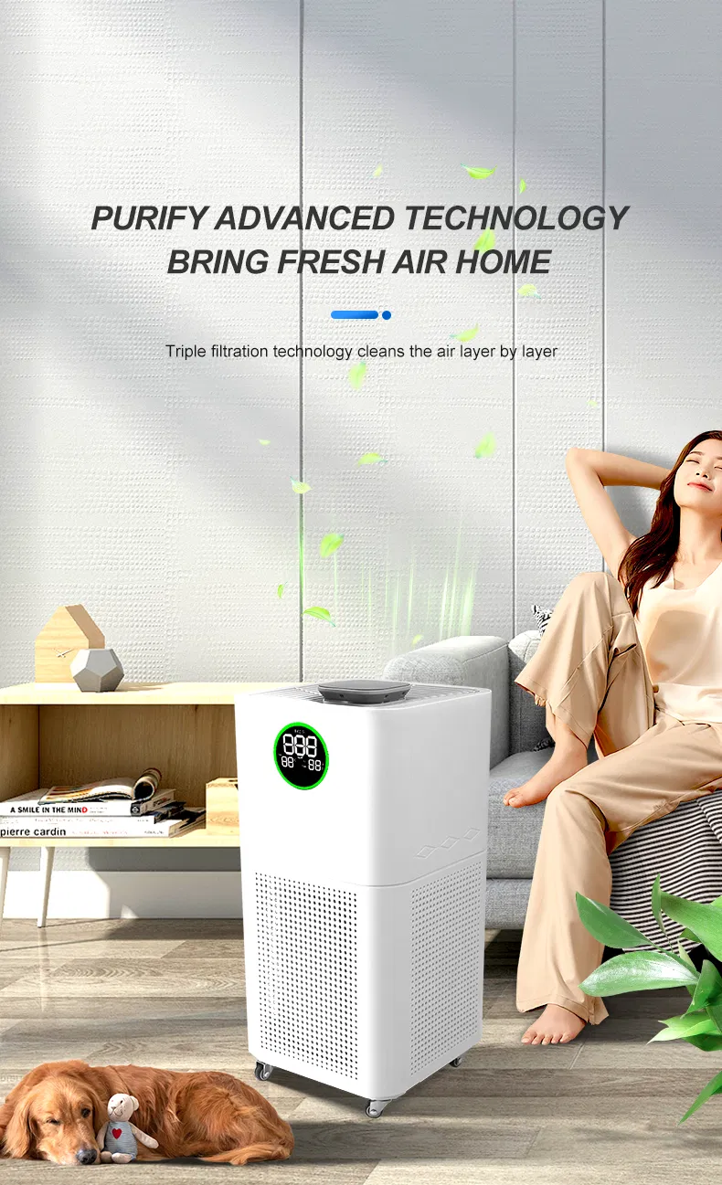 OEM/ODM Air Purifier for Home with True HEPA Intelligent Mode
