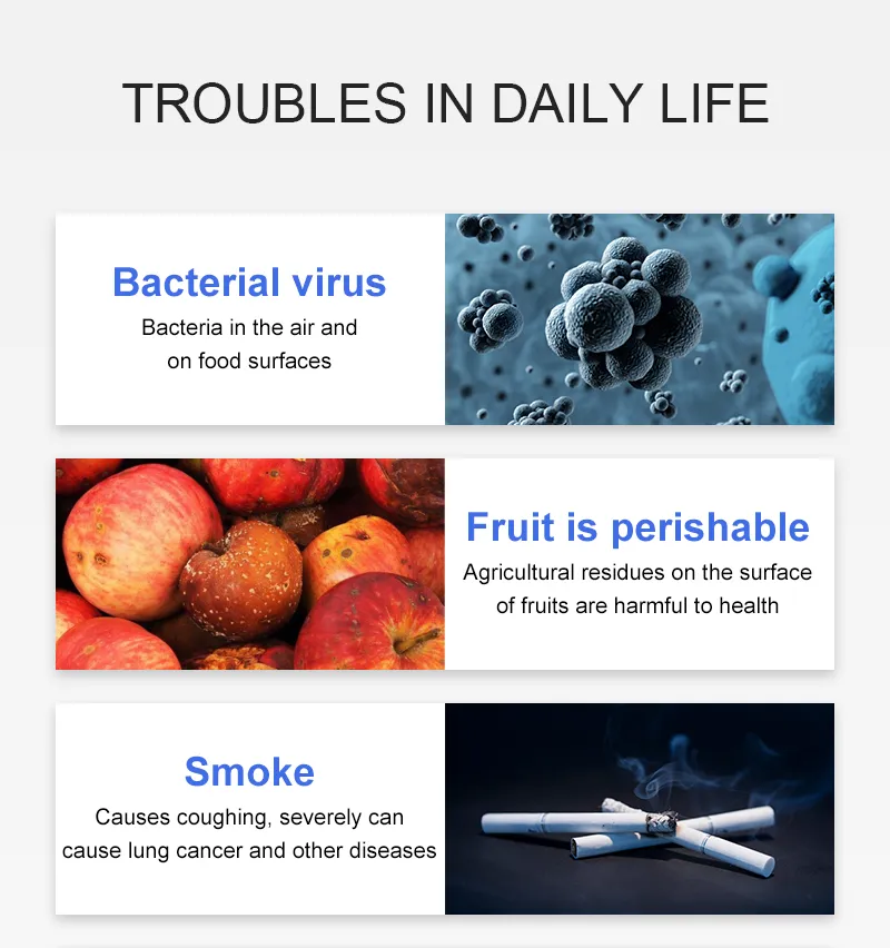 Electric Home Use Ozone Purifier with LED Display