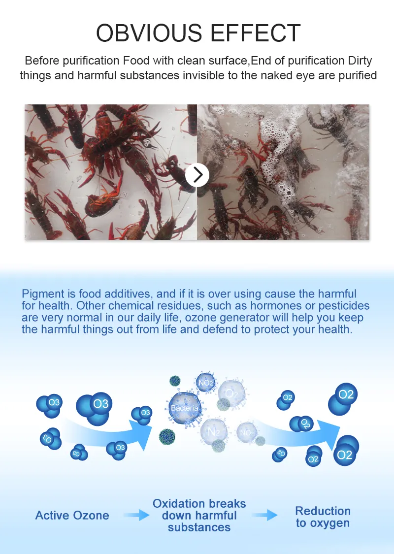 Electric Home Use Ozone Purifier with LED Display