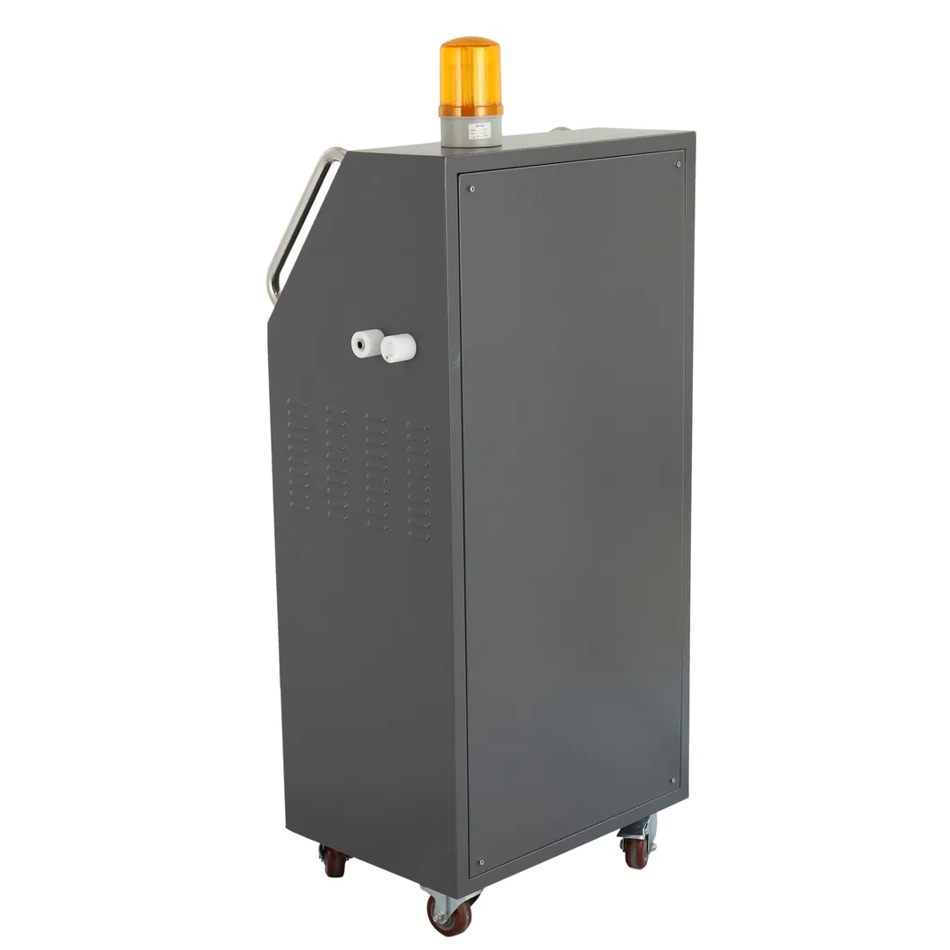 High Quality 5g/H Car Ozone Generator for Car Air Disinfection Odor Removal