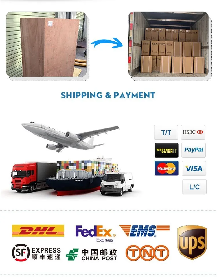 High Quality 5g/H Car Ozone Generator for Car Air Disinfection Odor Removal