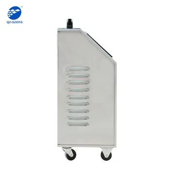 Stainless Steel Ozone Car Sterilizer for 4s Shop Car Odor Removal Purify