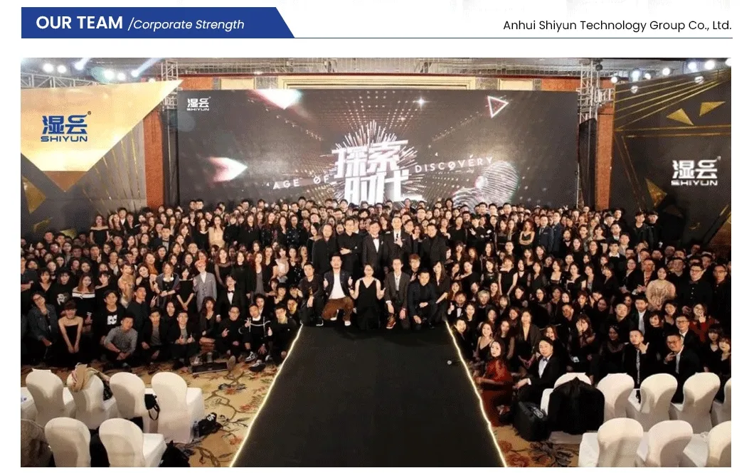 Sy-370sxl New Fresh Air Ventilator with Ceiling Mount and Low Noise