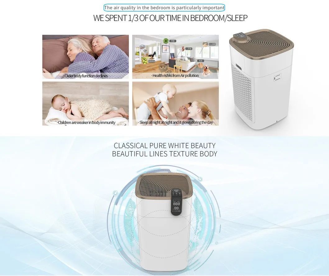 Hot Sale Commercial Smart Plasma Air Purifier with Factory Price