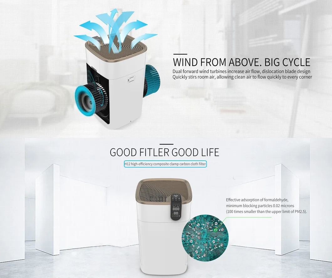 Hot Sale Commercial Smart Plasma Air Purifier with Factory Price