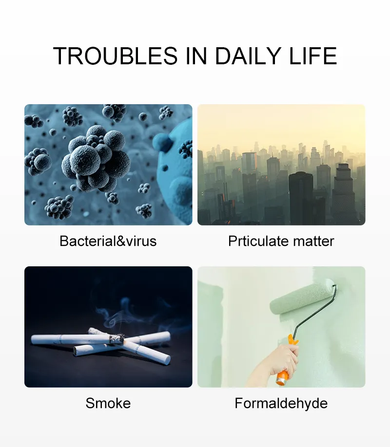 Home Ozone and Ionizer Air Cleaner HEPA Filter Air Purifier