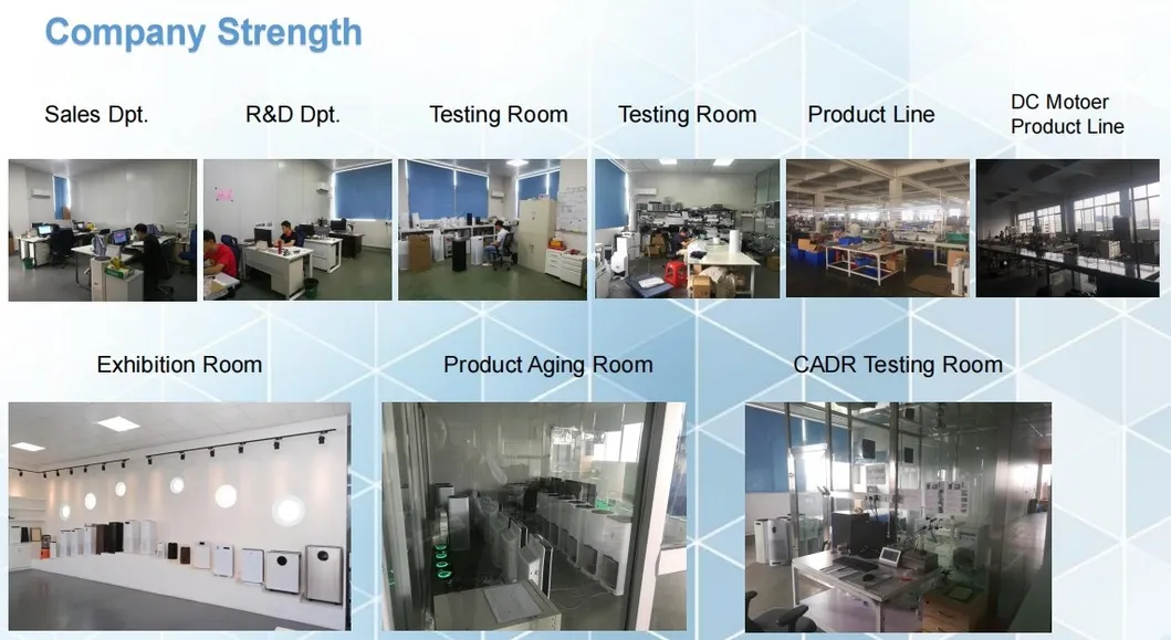 Wholesale Price High Quality Cadr320 HEPA Filter Ionic Air Purifier