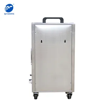 Quanju Factory Hot Sale 5g/H Car Ozone Sterilizer for Car Air Purify