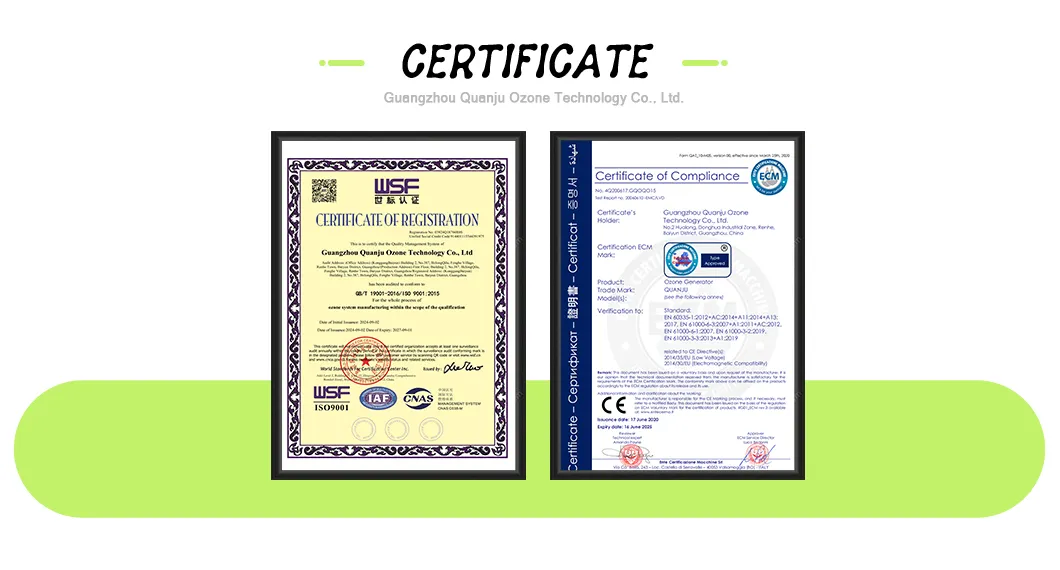 Quanju Factory Hot Sale 5g/H Car Ozone Sterilizer for Car Air Purify