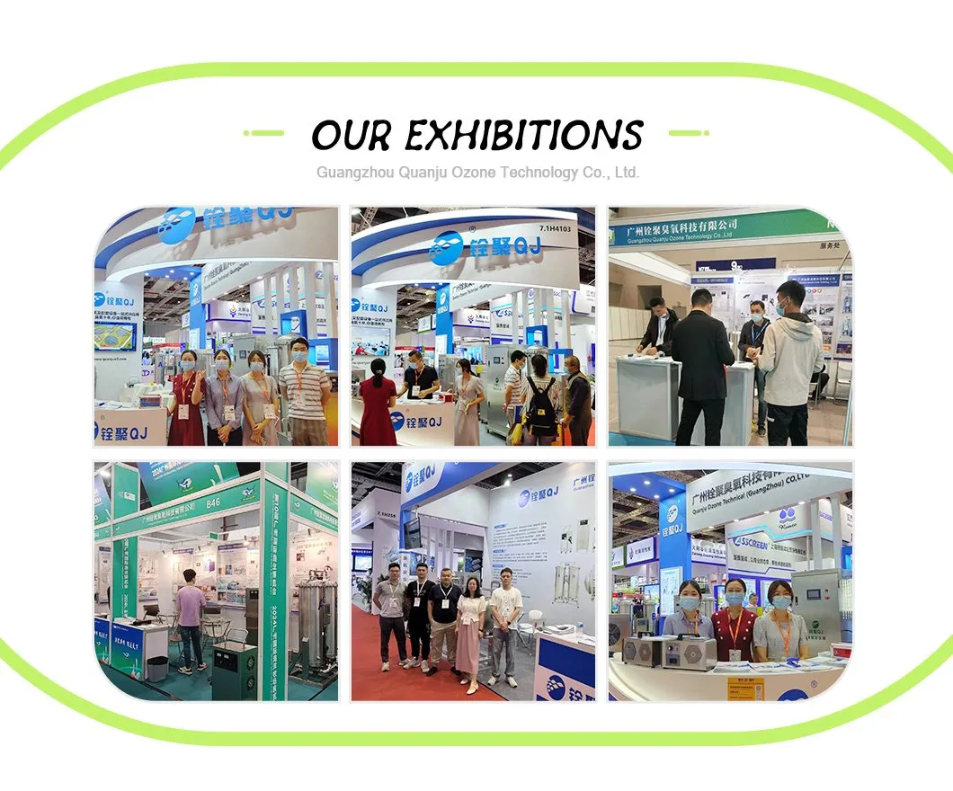 Quanju Factory Hot Sale 5g/H Car Ozone Sterilizer for Car Air Purify