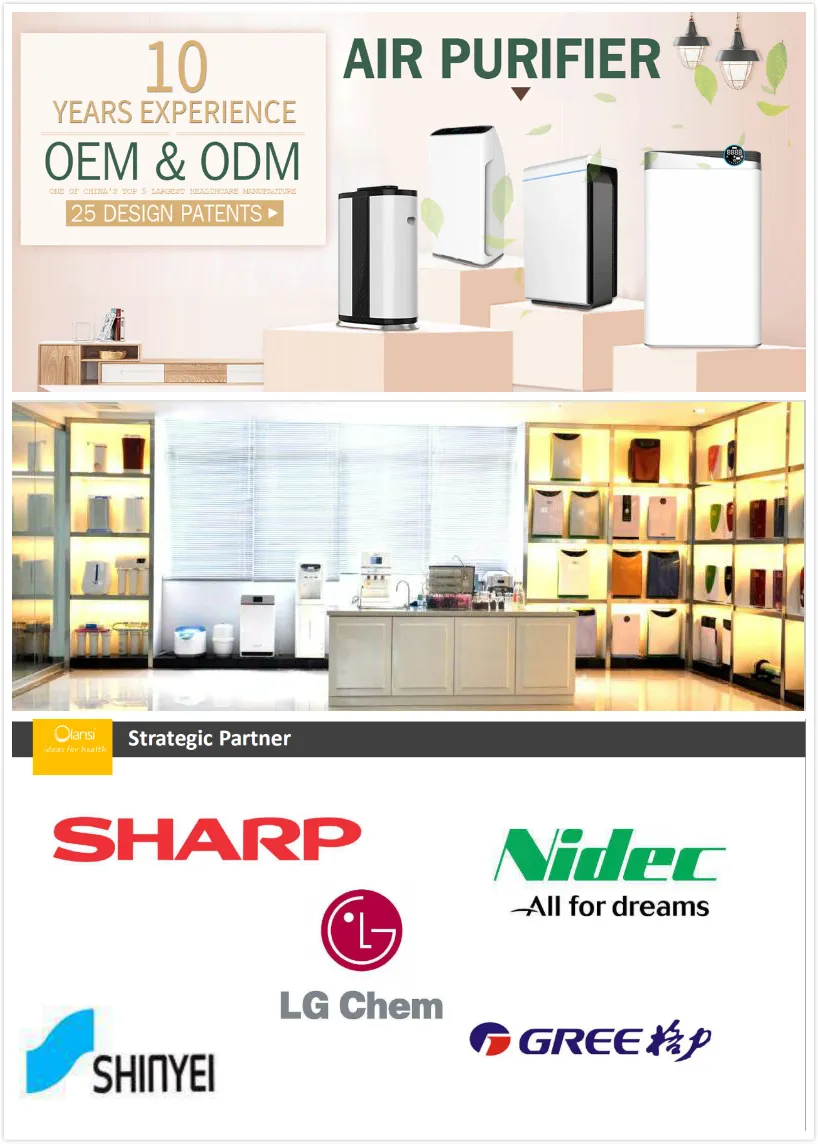 Filter Pm2.5 Air Purifier Air Ionizer Dust Collector with OEM Factory Price